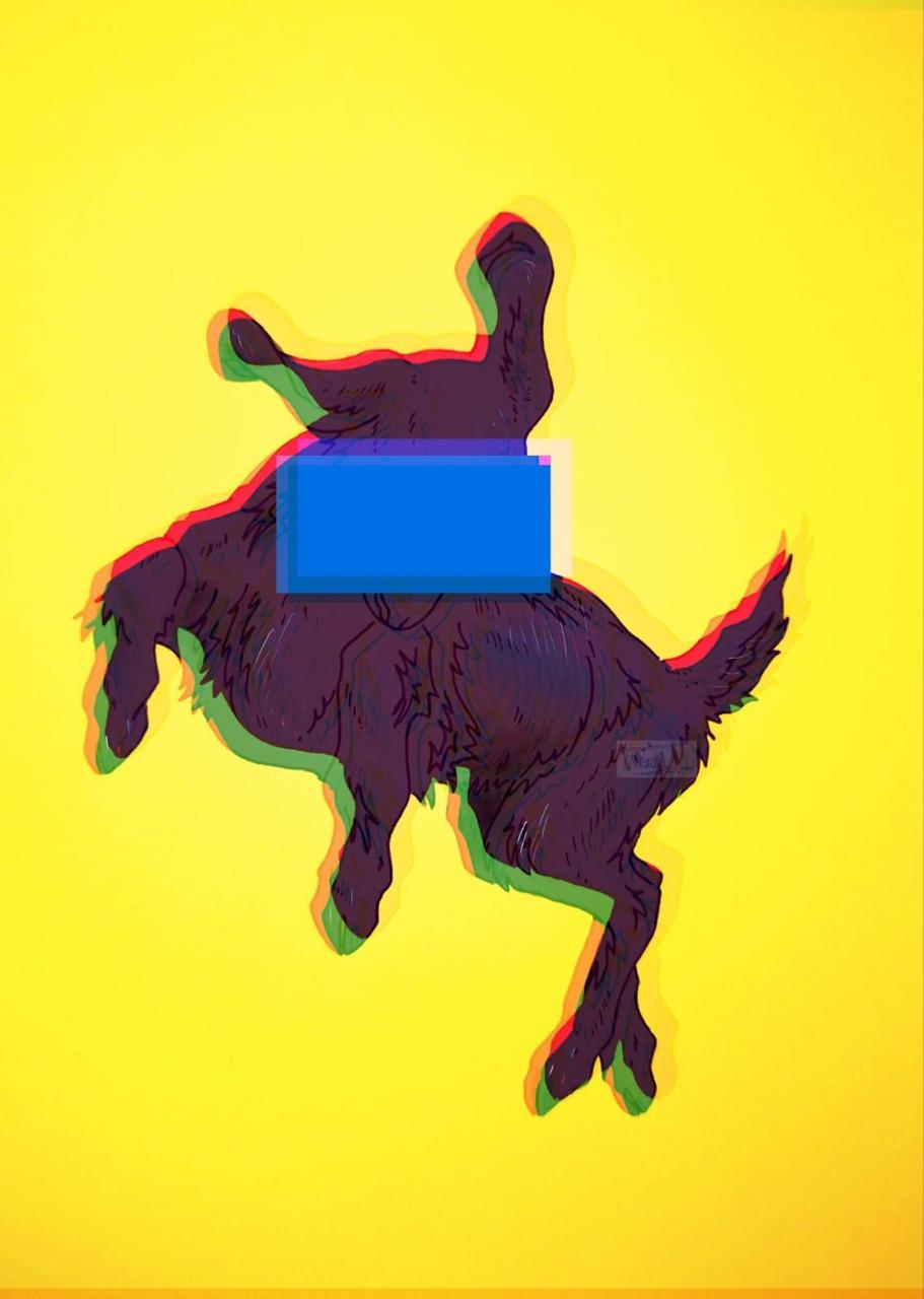 Diseños Propios